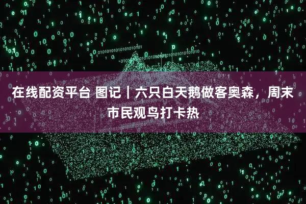 在线配资平台 图记｜六只白天鹅做客奥森，周末市民观鸟打卡热