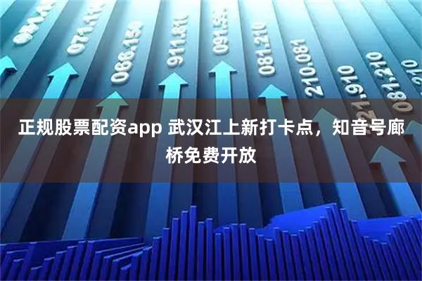 正规股票配资app 武汉江上新打卡点，知音号廊桥免费开放